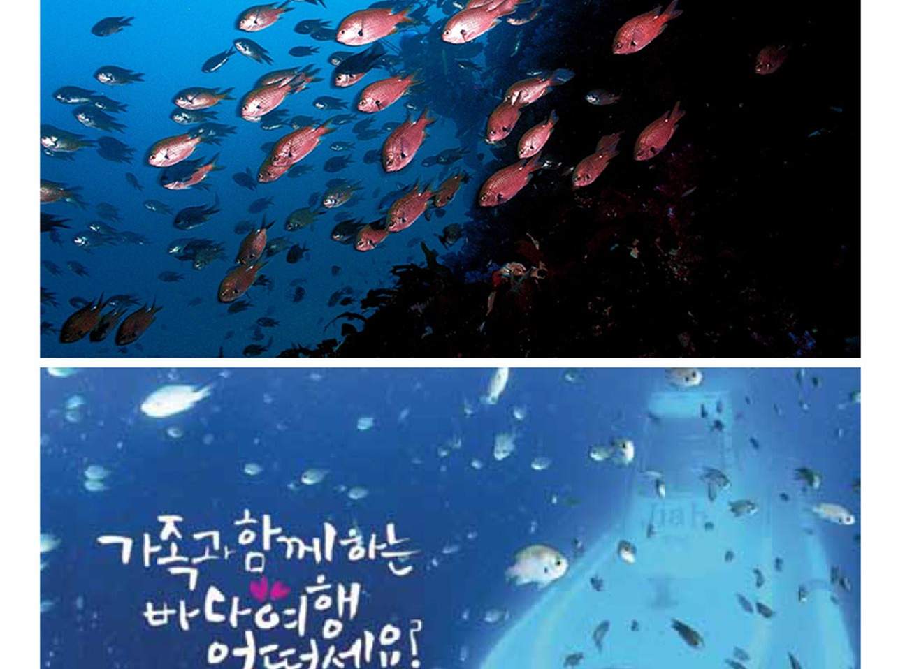 [제주] 서귀포잠수함